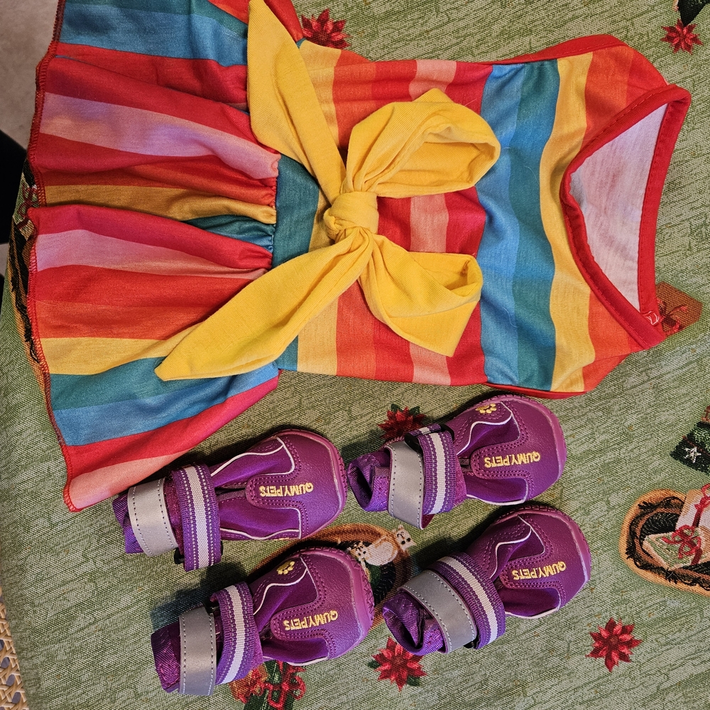 Dog Shoes Size 1 Bonus Dress.